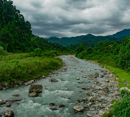 Dooars Wilderness Escape – 3 Days / 2 Nights Tour Package