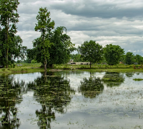 Dooars Nature Retreat – 4 Days / 3 Nights Tour Package