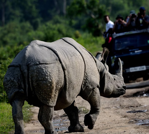 Complete Dooars Expedition – 7 Days / 6 Nights Tour Package