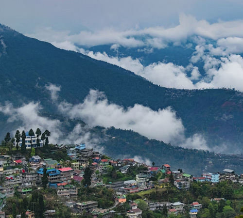 Splendid Darjeeling Honeymoon Escape