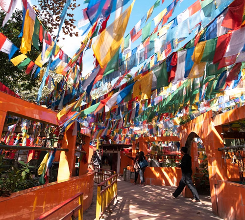 Grand Darjeeling Himalayan Sojourn